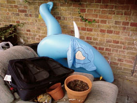 A real Koons in South London